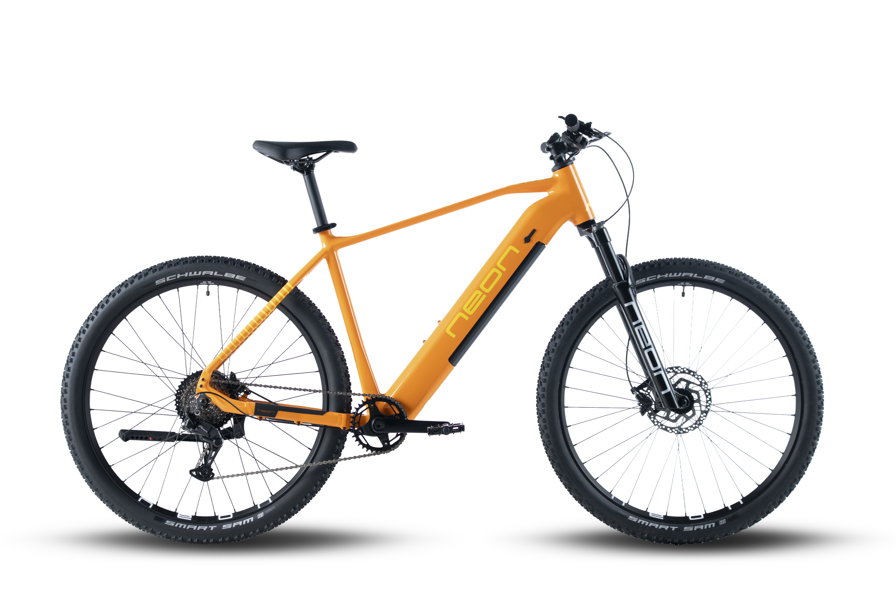 BEAM 2.0CARROT PARROT